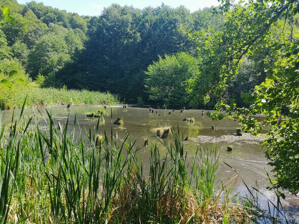 Mal liniștit la Lacul Arini