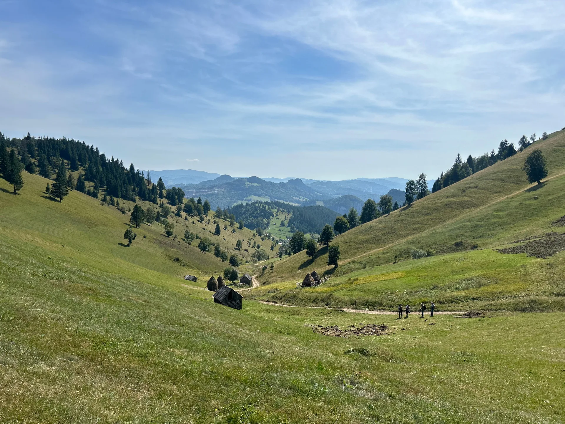 Potecă de drumeție prin pădure transilvăneană